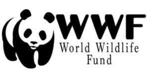 world-wildlife-fun-wwf-799x445